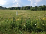 2017-07-07_14-23-11_image2.JPG
