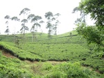 13854IMG_4129.JPG