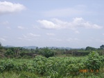 8853nigeria 060.jpg
