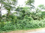 18270P1000106.JPG