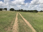 2017-07-06_07-10-31_IMG_0116.JPG