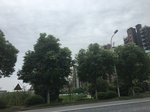 2017-09-10_06-45-00_DC026F4D-BCB9-4E7B-B797-97F4A3FFA47F.jpg
