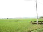 14651IMG_5032.JPG
