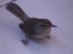 3321R0017356.JPG