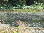 2017-06-12_12-50-23_DSCN3814.JPG