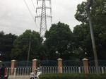 2017-09-10_06-38-28_358C16E9-010A-470E-9060-CBF471C5BD67.jpg