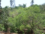 502720042008(60).JPG