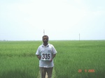 132080335b-irrigated-canal-rice.gif