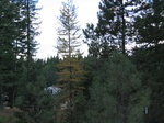 2012-09-27_21-59-46_MT-MS-1-9.JPG