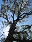2012-10-11_22-34-54_TX-SM-11-5.jpg