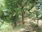1779624042008(53).JPG