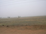 3928RIMG0232.JPG