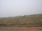 3923RIMG0227.JPG