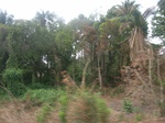 3986RIMG0290.JPG