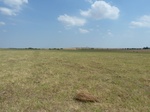 40383P1070703.JPG