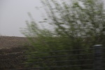 2017-05-12_17-07-53_2017-05-04 21.24.14.jpg