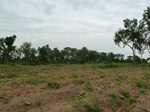 18407P1000243.JPG