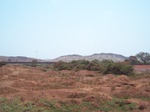 521726042008(15).JPG