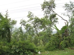 16430IMG_5215.JPG