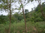 3766RIMG0070.JPG