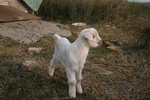4247IMG_8886.JPG