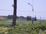 3571 139.jpg