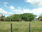 5754100_1348.JPG