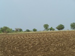 480402052008(103).JPG