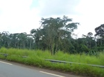 20180P1020032.JPG