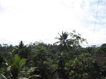 14714IMG_5098.JPG
