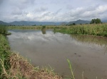 2012-09-07_10-16-13_CIMG6701.JPG