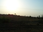 524026042008(45).JPG