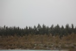 2019-10-16_12-33-53_4E8A4287.JPG