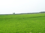 17557100_2818.JPG