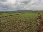 2012-09-07_10-02-13_CIMG6620.JPG