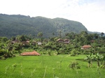 13747IMG_4008.JPG