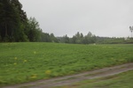 2018-04-14_14-26-26_2017-06-12 08.09.22.jpg