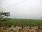 41895CIMG9099.JPG
