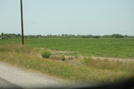 2022-06-12_15-42-56_E9BE2B28-2D29-42CA-89DF-A520810BAC52.jpeg