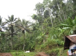 14747IMG_5139.JPG