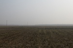8393IMG_0519.JPG