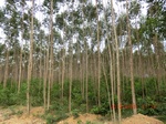2012-09-26_20-50-01_CIMG1083.JPG