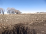 2017-05-12_12-53-24_Feb17-518-CO.jpg