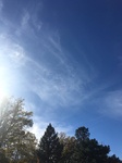 2017-12-04_14-24-17_3D211F97-C291-47AA-96F0-10EC9CCB8069.jpg