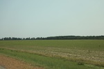 2022-05-26_13-54-40_CCDFC783-1A10-4F37-A122-88083C965859.jpeg