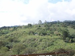 5517100_0884.JPG
