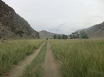 37577CIMG1383.JPG
