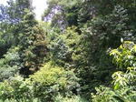 493919042008(23).JPG