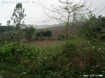 40509Anh5459.jpg