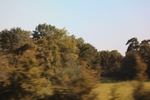 2018-04-30_11-01-08_2017-09-14 16.11.32.jpg